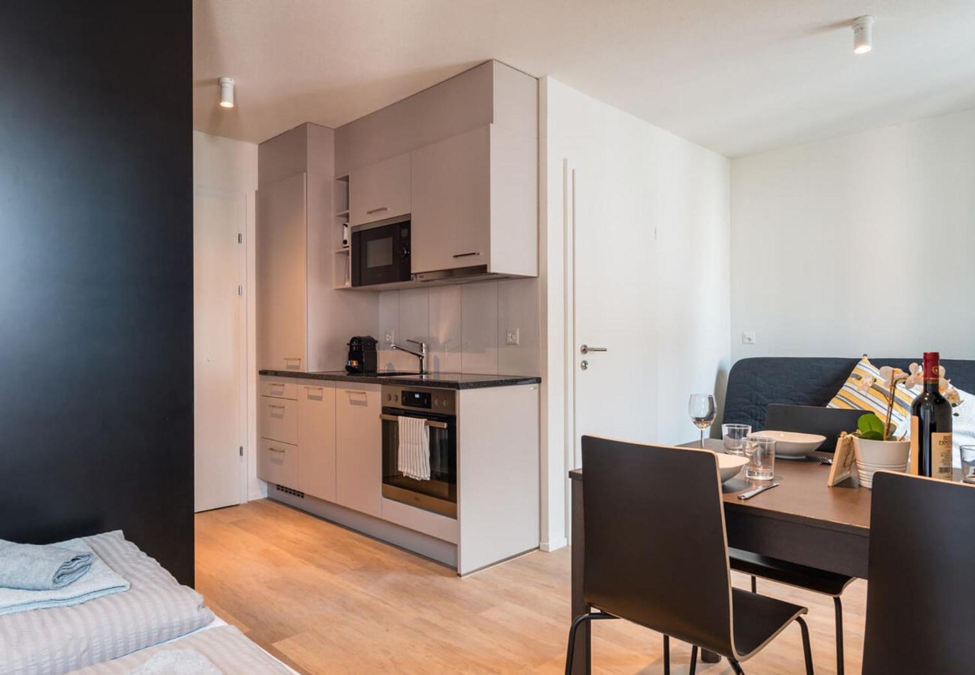Hitrental Central Station Apartment チューリッヒ エクステリア 写真